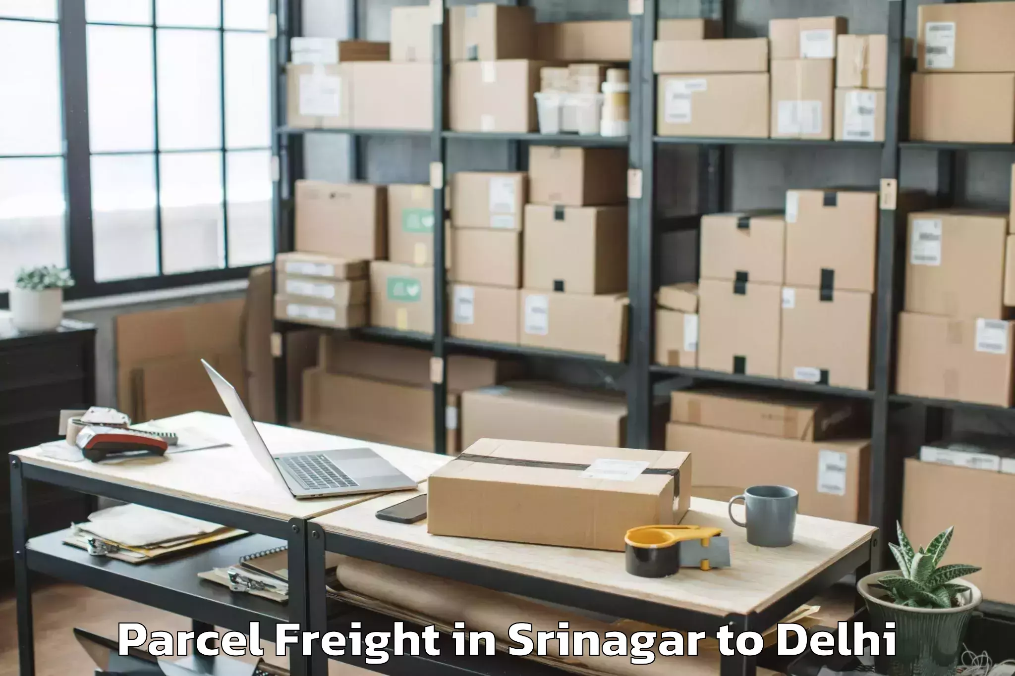 Top Srinagar to Unity One Janakpuri Mall Parcel Freight Available